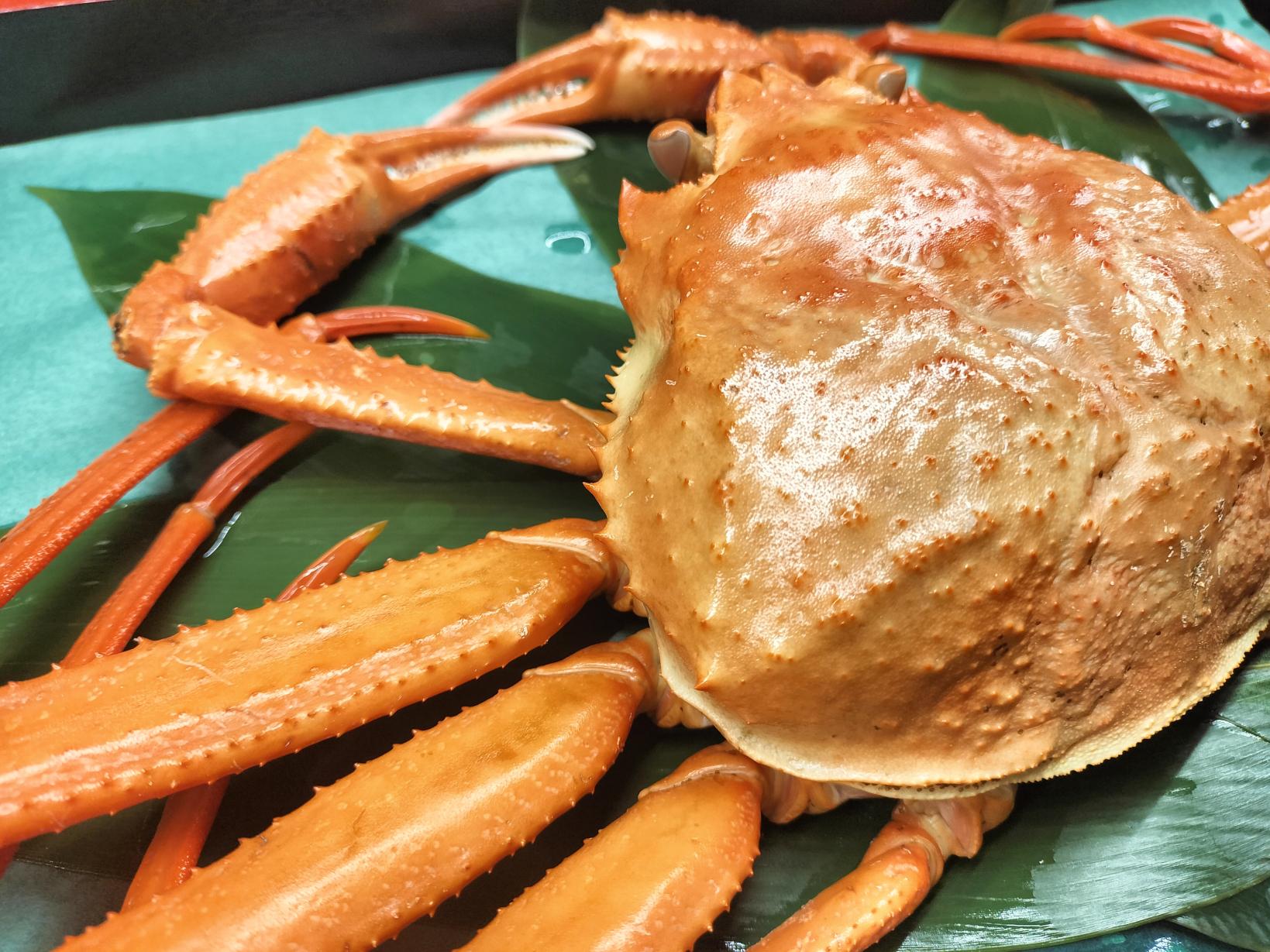 富山湾の「紅ズワイ蟹」